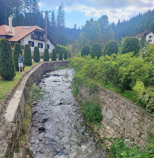 Stone-walled stream running through a green mountain village with traditional houses and conifer trees