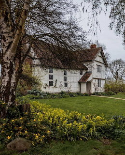White country cottage with a green lawn, yellow flowers, and tall leafless trees