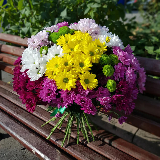 Colorful bouquet of chrysanthemums in yellow, purple, white and green on wooden bench