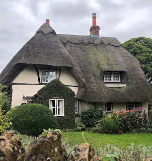 Traditional thatched roof cottage with cream walls and garden