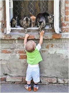 Toddler reaching up toward four cats sitting in weathered brick window