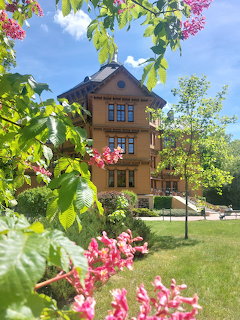 Multi-story house framed by pink blossoms and green leaves in a sunny garden