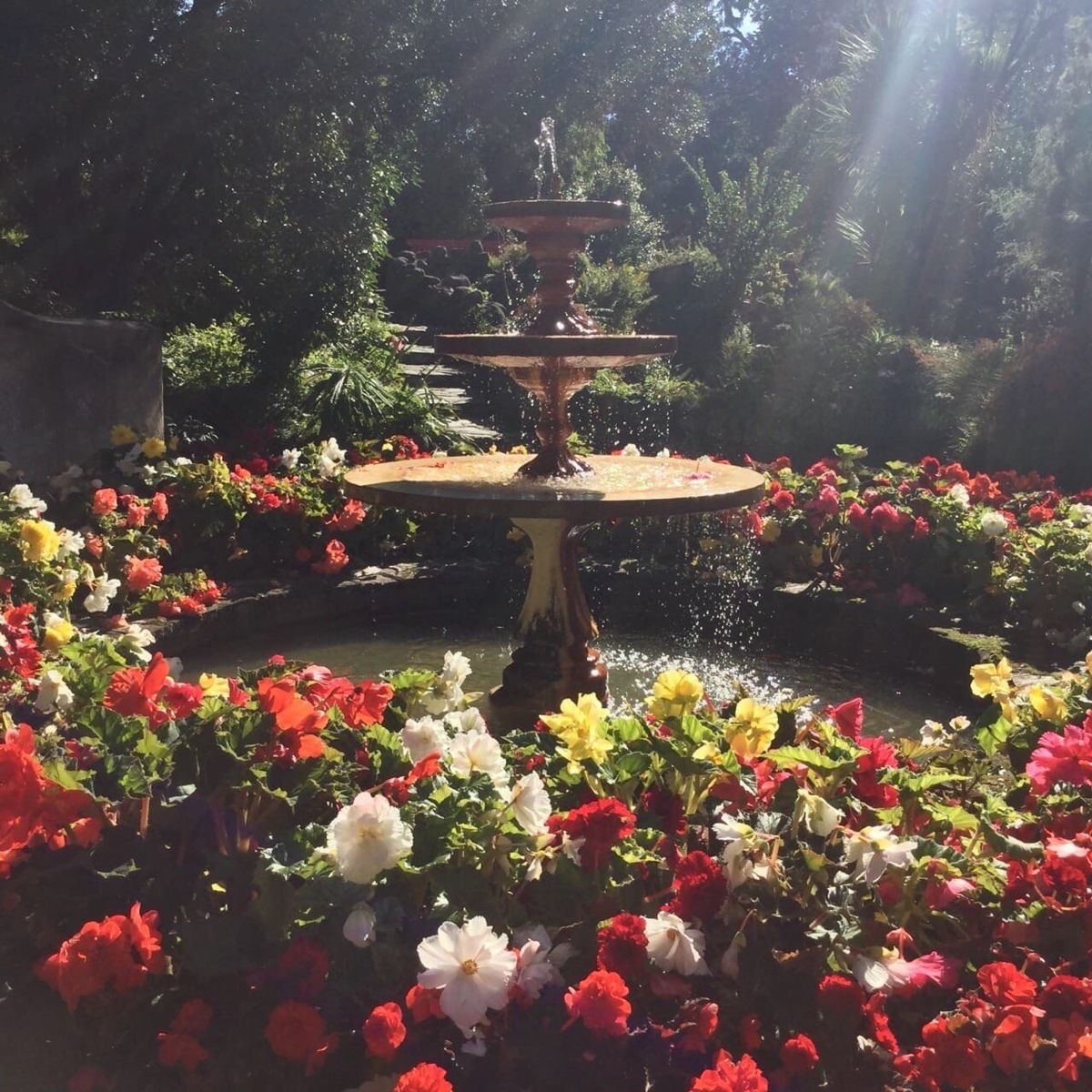 Tiered garden fountain encircled by red, white, pink, and yellow flowers in sunlight