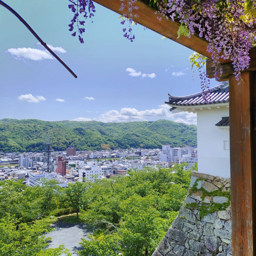 View from Tsuyama Castle with wisteria, town buildings, green hills, and blue sky