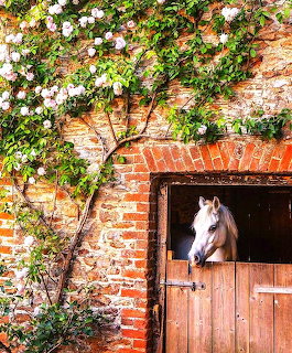 Horse in Brick Barn Stall