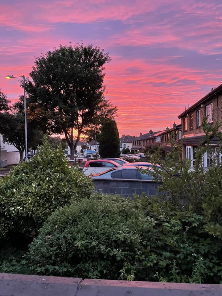 Pink and purple sunset over Dublin residential street with parked cars and trees