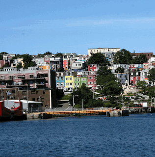 Colorful waterfront houses on a hillside in St. John's, Newfoundland, above a blue harbor