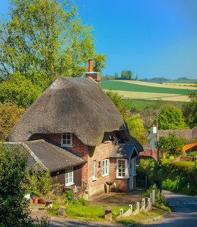 Rustic brick cottage with thick thatched roof surrounded by lush greenery and countryside fields under clear blue sky