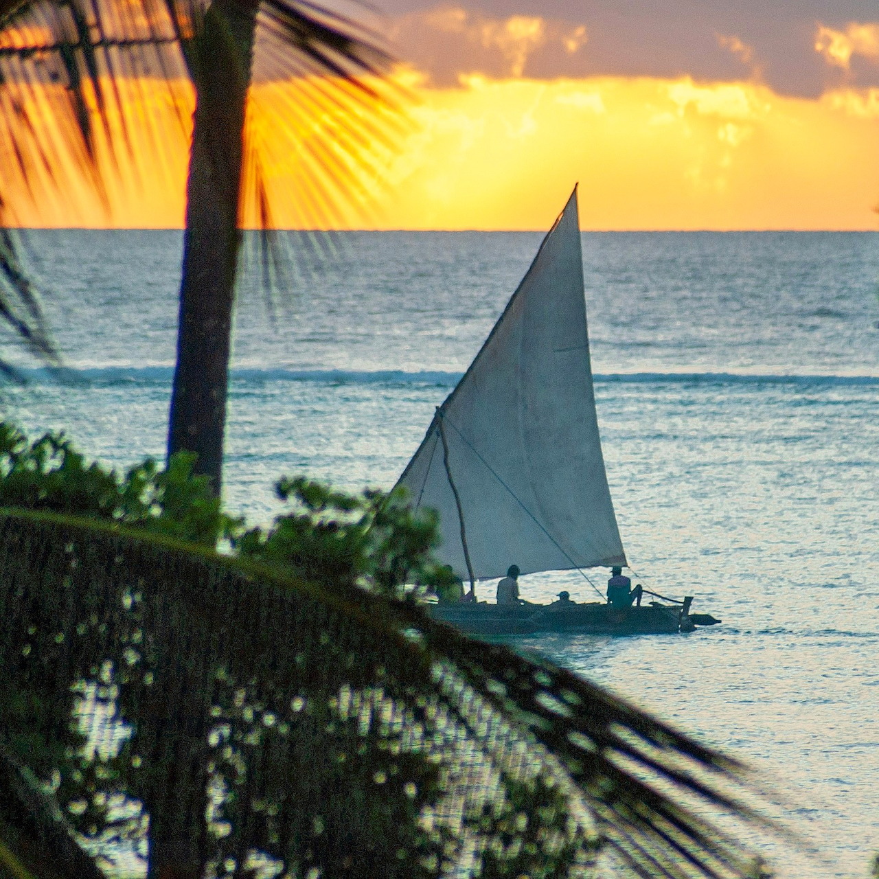 Sailboat on ocean at sunset with palm trees in foreground and golden sky