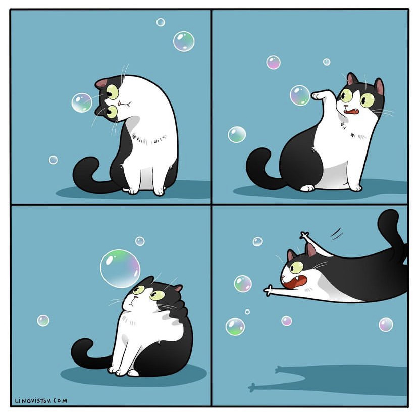Cat Playing with Bubbles