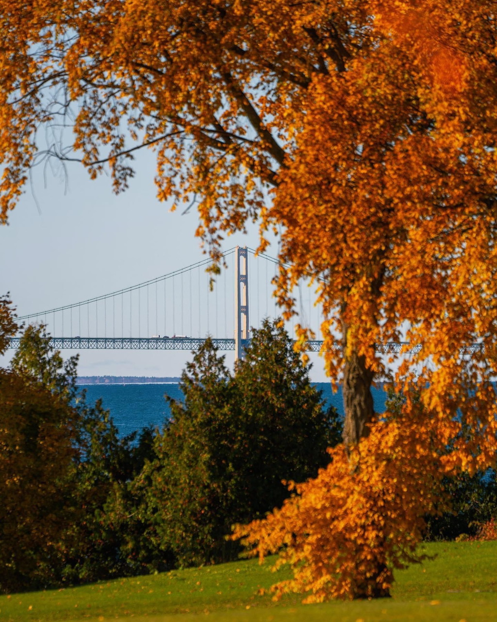 Suspension bridge seen through golden autumn trees over blue water with green lawn