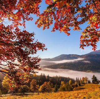 Fall Mountain Landscape View