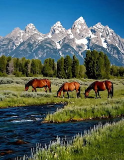 Three horses grazing beside a mountain stream with snowy peaks and pine forest in the background
