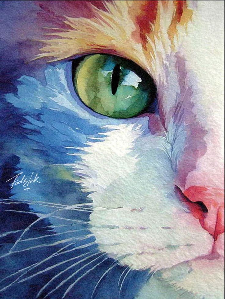 Colorful artistic illustration of a cat with vibrant multicolored patterns
