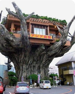 Restaurant building constructed atop a large tree trunk in a Japanese street setting