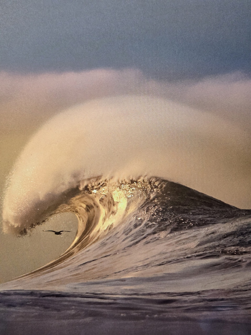 Large curling ocean wave breaking with spray in soft golden light