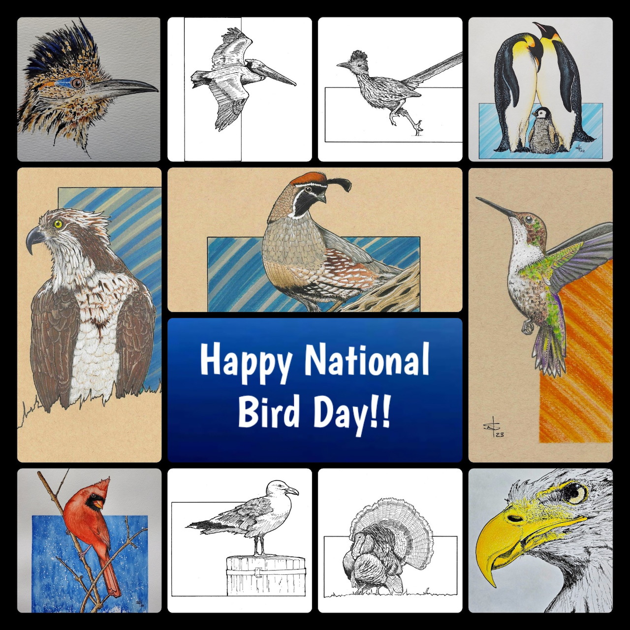 Bird illustration collage with a central Happy National Bird Day message