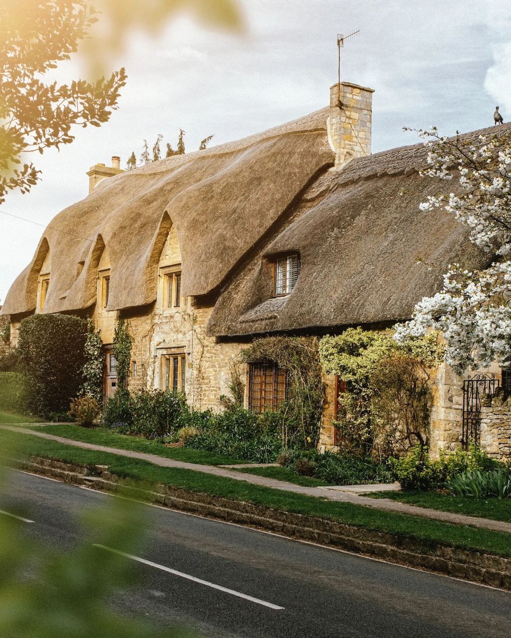 Traditional Thatched Roof Cottage