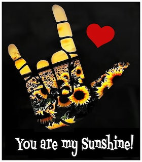 Illustrated hand sign with sunflower patterns, a red heart, and You are my Sunshine text on black