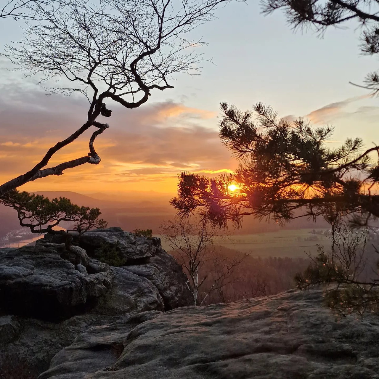 Sunrise over misty valley with silhouetted trees and rocks in Saxon Switzerland