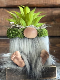 Garden gnome planter with white beard and moss hat containing green plant on wooden surface