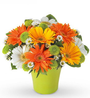 Summer Daisies Flower Arrangement