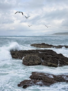Rocky Ocean Shore
