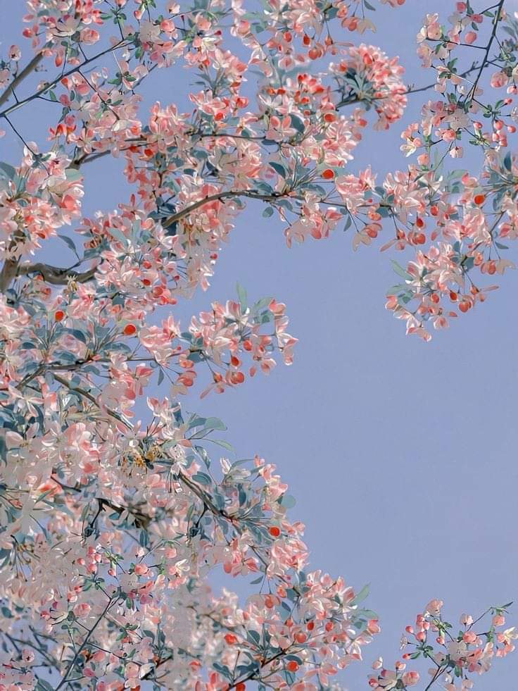 Decorative pretty scene image