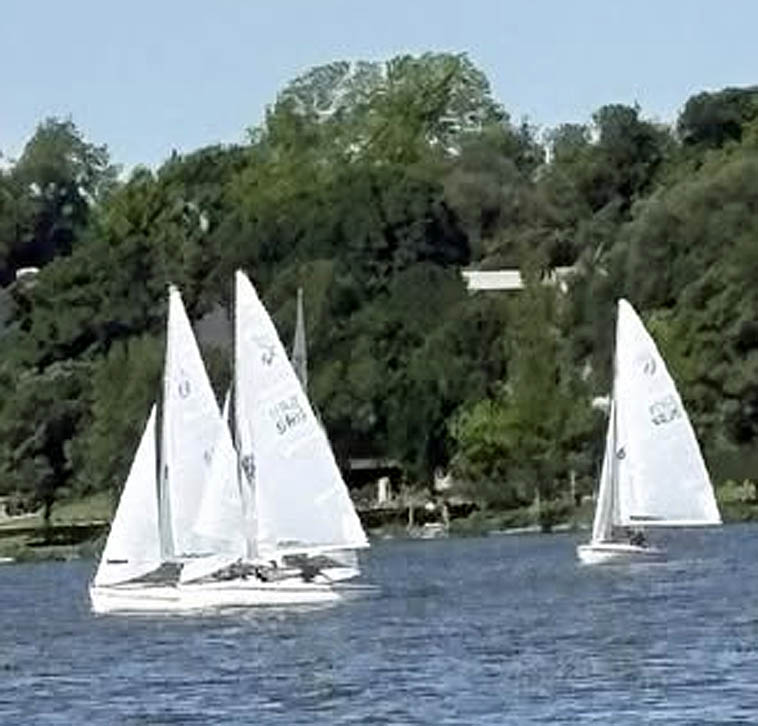Three white sailboats sailing on a lake with dense green trees lining the shore