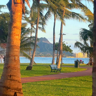 Palm trees in a beachside park with green grass, a bench, and Diamond Head mountain across the water