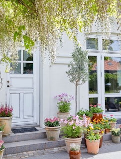 Garden Pots by White Door