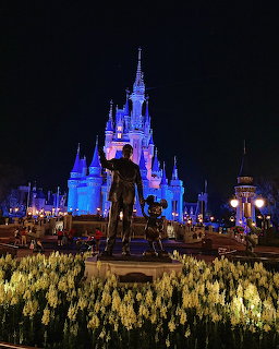 Disney Castle at Night