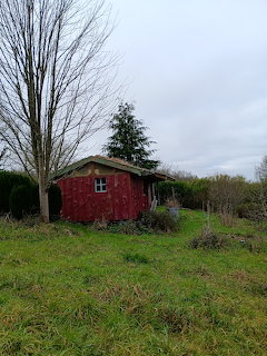 Small red wooden cabin in a grassy yard beside a leafless tree under a cloudy sky.