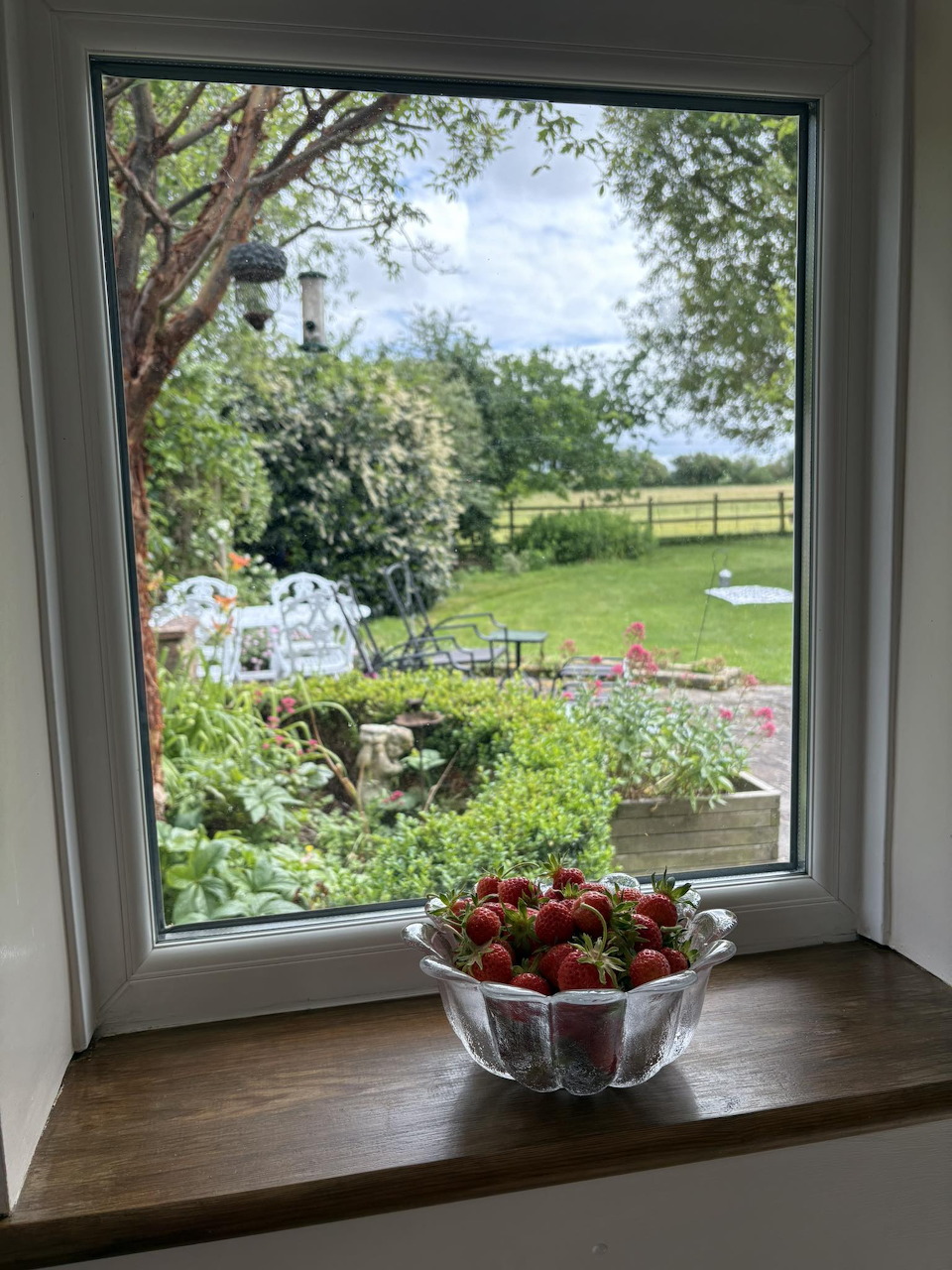 Bowl of strawberries on a windowsill with a view of a green garden and countryside beyond