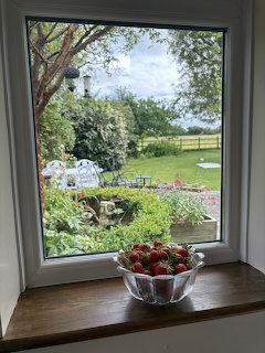 Garden View Window Strawberries