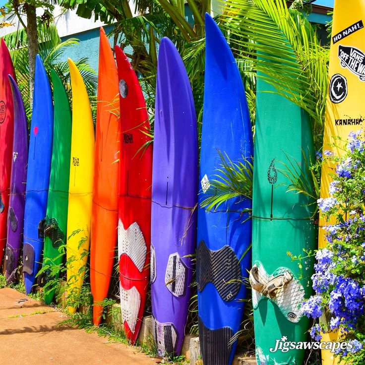 Colorful Surfboards on Beach