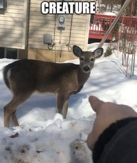 Deer standing in snow by a house with a hand pointing and the word CREATURE on top