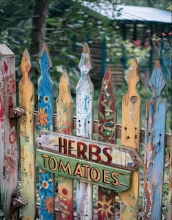 Colorful painted wooden picket fence with Herbs and Tomatoes signs in a garden
