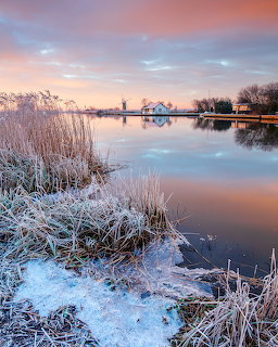 Frosty winter sunrise over a calm lake with frozen reeds in the foreground and a white building in the distance
