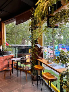 Cafe interior with hanging plants, wooden furniture, large windows and natural light