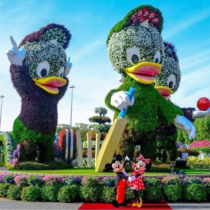 Dubai Miracle Garden Duck Topiary