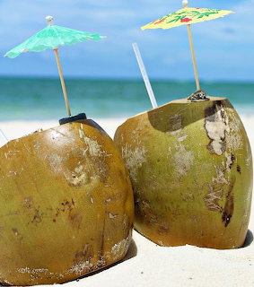 Two open coconuts with cocktail umbrellas and straws on a sandy beach with ocean behind