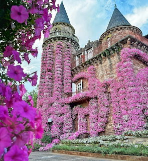 Stone castle with conical turrets draped in cascading pink flowers against blue sky