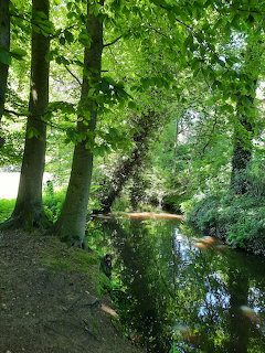 Deurne Forest Stream