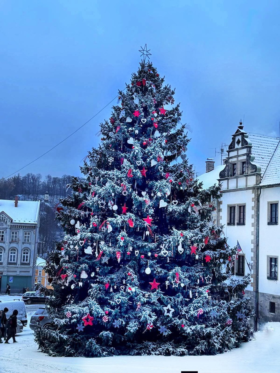 Christmas Tree Town Square Winter
