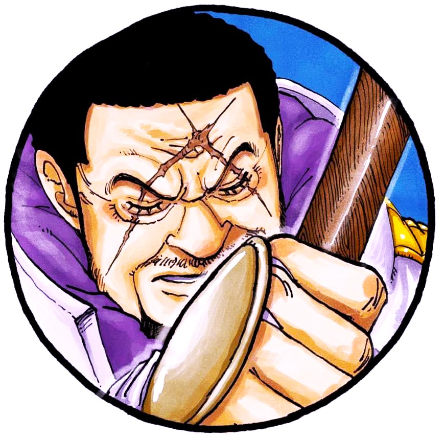 ONE PIECE Character Portrait