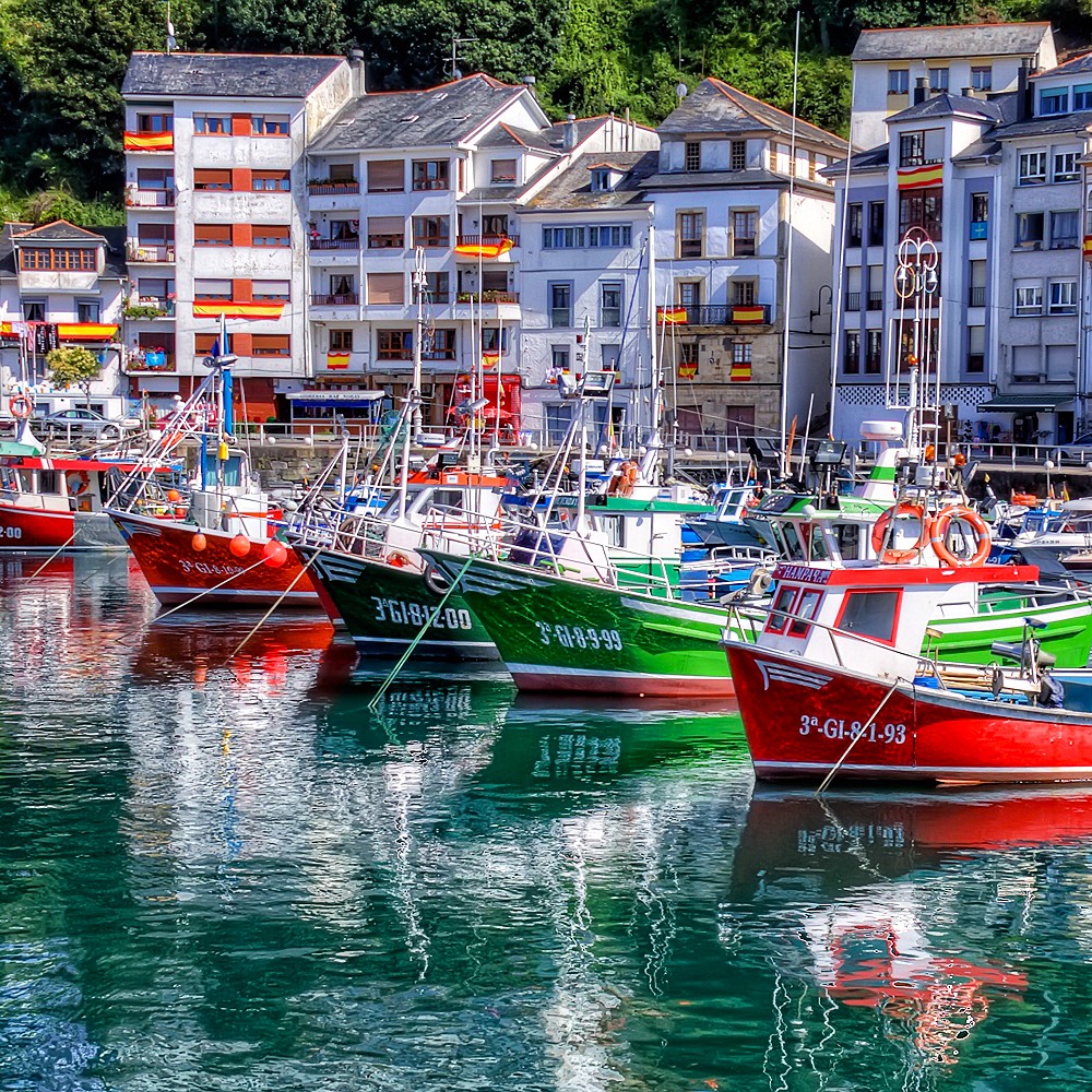 Colorful fishing boats docked in harbor with buildings behind