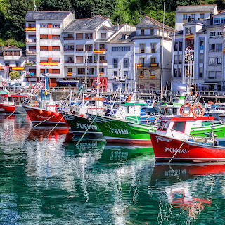 Colorful Fishing Boats in Harbor
