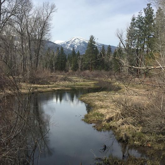 Serene Creek