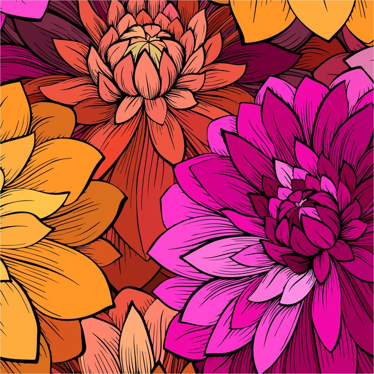 Colorful Floral Illustration